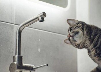 Правий берег столиці отримує воду в режимі пониженого тиску через перебої зі світлом — Київводоканал