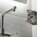 Правий берег столиці отримує воду в режимі пониженого тиску через перебої зі світлом – Київводоканал