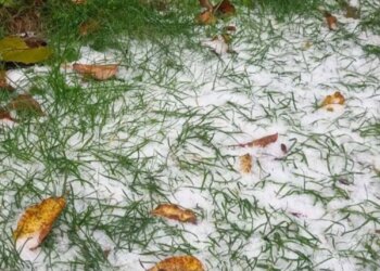 Під Києвом випав перший сніг: якою буде погода в столиці і області найближчими днями