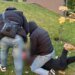 В Киеве поймали экс-патрульного, который продавал «бронь» за $10 тысяч