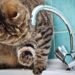 Після нічного удару: які райони Києва вже з водою та електрикою