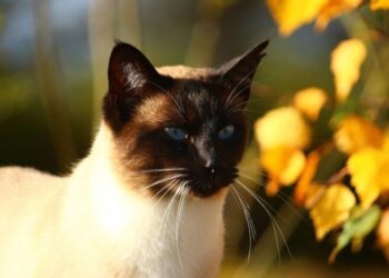 Погода в Украине резко изменится: синоптики сказали, кто сможет насладиться теплом