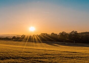 Владельцы разрушенной недвижимости смогут бесплатно получить землю: детали закона
