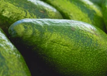 Київ готується до ярмаркового тижня: коли і де купувати продукти, — адреси