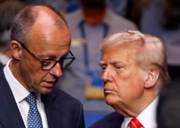 Мерц планирует обсудить с Трампом совместные усилия для завершения войны в Украине