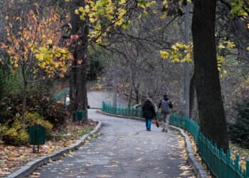 Солнце на западе, дожди на востоке: какой сегодня будет погода в Украине