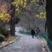 Солнце на западе, дожди на востоке: какой сегодня будет погода в Украине