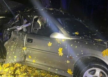 Трагедія на Київщині: авто з неповнолітніми вилетіло з дороги, — деталі