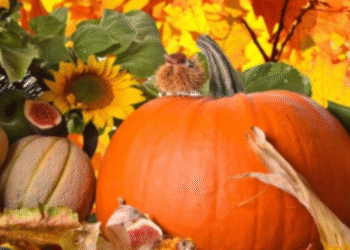 Гарбузи і інші сезонні продукти в Києві: де вигідно закупитися на вихідних