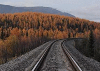 Лідер залізничних перевезень: у Києві завоював популярність новий міжнародний потяг