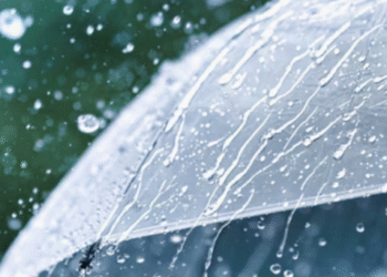 Туман, дощ, сніг: на Київ та область наближається негода