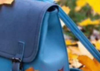 Школи Києва частково закриваються: коли почнуться осінні канікули