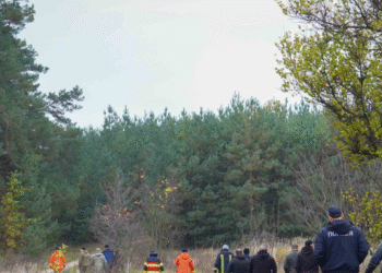 Два дні без їжі та води: в лісі на Київщині тривають пошукові роботи, — ФОТО