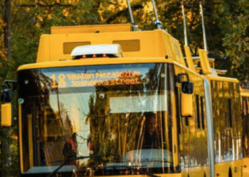 Нові маршрути на два дні: як у Києві курсуватимуть автобуси і тролейбуси