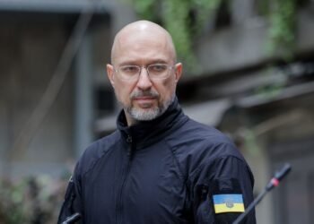 Шмыгаль назвал новые страны, которые присоединились к программе PURL