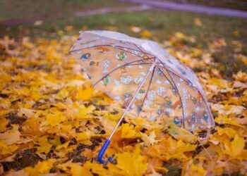 Осенний циклон над Украиной: синоптик Диденко предупредила о сильных ливнях, но с приятным бонусом