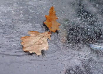 Осень зальет дождями: какой погоды ждать украинцам в последние дни октября