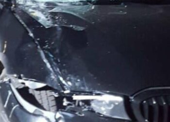 Йшов на зелене — не дійшов: смертельне порушення ПДР у Києві та швидке затримання