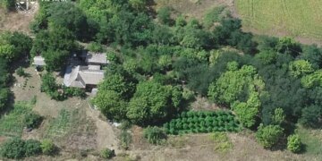 У Києві викрили наркоаграріїв, у яких вилучили 50 мішків коноплі та 5 кг канабісу