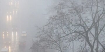 Київ зупинився: густий туман, хвиля ДТП і небезпечне повітря накрили місто