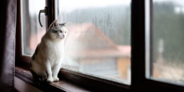 Резкое похолодание и снег: синоптик Диденко предупредила о погодном ударе по Украине