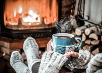 Не дрова или газ: в Украине набирает популярность “зеленый уголь”