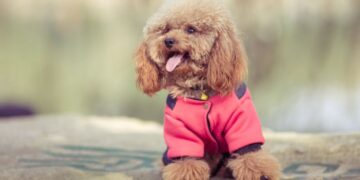 Температурный раскол Украины: Диденко сказала, где резко похолодает