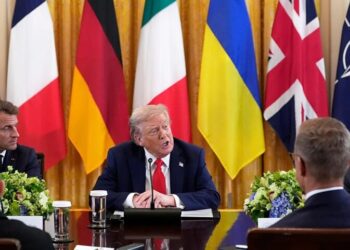 Европейские лидеры против мирного плана Трампа, а США грозят остановить поставки оружия Украине