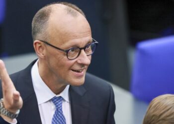 Мерц усомнился в плане для Украины и предложил альтернативу