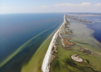 Стратегический плацдарм: ВМС объяснили, почему россияне держатся за Кинбурнскую косу