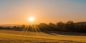 Миллиардные поступления: результат земельных торгов за четыре года