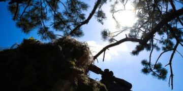 Битва за Харьковщину: что происходит в Волчанске и Купянске