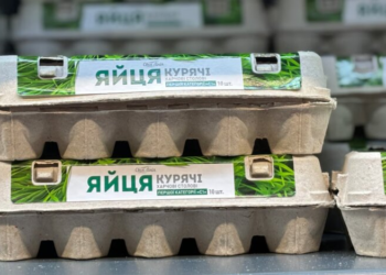 Яйца, сливочное и подсолнечное масло подорожали в ноябре: как изменились цены