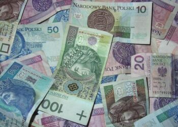 Наличку в Польше ограничат: названы новые лимиты