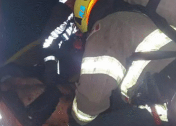 Вогняна загроза на Київщині: чоловік гукав на допомогу