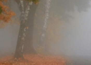 Ризик для дихання: в Києві рекордні рівні забруднення повітря