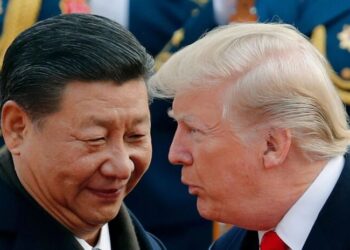 Трамп раскрыл детали разговора с Си: что китайский лидер сказал о войне в Украине