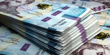 ЕСВ для ФОП-работников: можно ли увеличить пенсию двойными взносами