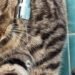Аварія на водогоні в Києві: частина лівого берега опинилася зі зниженим тиском