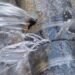 Магістральна аварія у Києві: що відомо про порив водопроводу