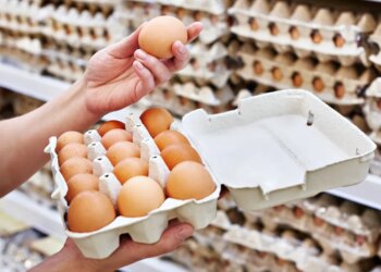 Из-за блэкаутов курятина и яйца могут подорожать до 20%