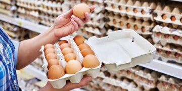 Из-за блэкаутов курятина и яйца могут подорожать до 20%