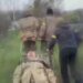 На Запорожском направлении осуществлена первая в своей истории эвакуация раненого с помощью робота. ВИДЕО