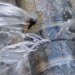 У Києві на бульварі Верховної Ради стався прорив водопровідної мережі