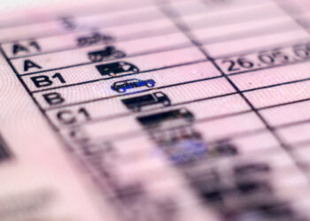 Фейковые водительские права для военных: украинцев предупредили о новой схеме обмана