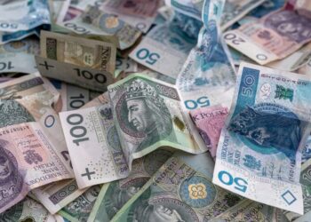 Польша готовит “денежную реформу”: какие банкноты не будут принимать с 2026 года