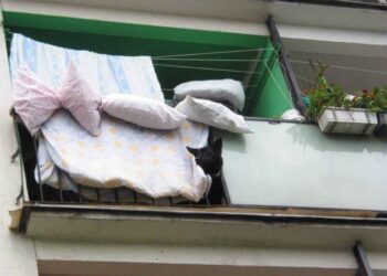 Людей призвали выносить подушки и одеяла на улицу: почему это важно