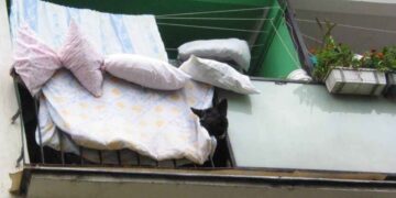 Людей призвали выносить подушки и одеяла на улицу: почему это важно