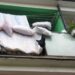 Людей призвали выносить подушки и одеяла на улицу: почему это важно