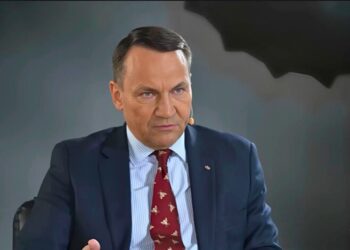 Сикорский обвинил “олигархов Маска и Дмитриева” в желании поделить Европу